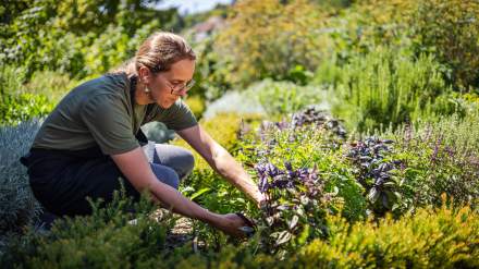 Restaurant Premnord cheffe au jardin