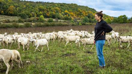 Restaurant Premnord ferme du Poiset
