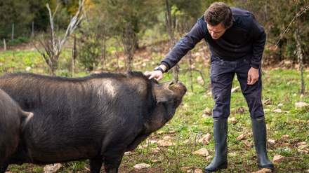Restaurant Premnord ferme du Poiset