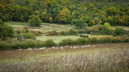 Restaurant Premnord ferme du Poiset