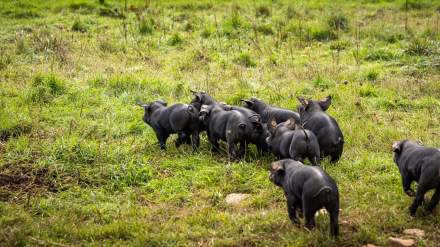 Restaurant Premnord ferme du Poiset